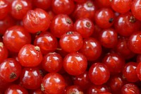 Free photo of a pile of red currants, public domain CC0 photo.