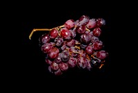 Free fresh branch of grape in dark background, public domain fruit CC0 photo.