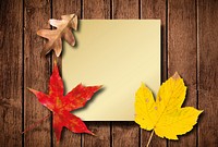Free autumn leaves background photo, public domain fall CC0 image.
