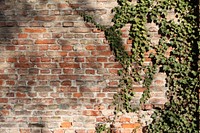 Free brick wall image, public domain pattern CC0 photo.