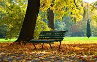 Free bench in the park image, public domain seasons CC0 photo.