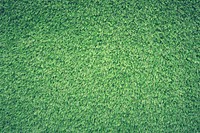 Free grass field image, public domain nature CC0 photo.