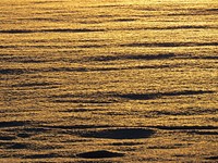 Free ocean surface at dawn image, public domain CC0 photo.