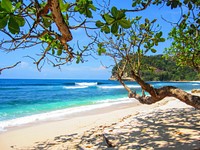 Tropical sunny beach, sandy shoreline, free public domain CC0 photo.