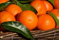 Free orange image, public domain fruit CC0 photo.