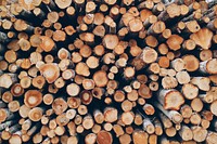 Free wood logs image, public domain natural material CC0 photo.