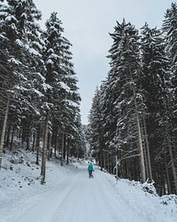 Free winter snow trees photo, public domain winter CC0 image.