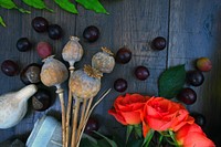 Free plums and roses image, public domain rustic vineyard CC0 photo.