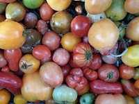 Free different types of tomatoes image, public domain CC0 photo.