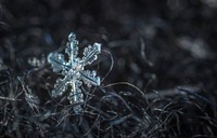 Free close up snowflake image, public domain nature CC0 photo.