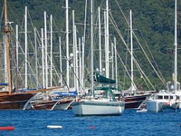 Free sailboats at dock image, public domain CC0 photo.