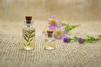 Free essential oils in small bottle public domain CC0 photo