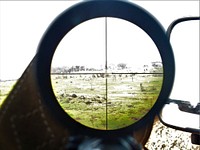 Magnifying glass photo, free public domain CC0 photo.