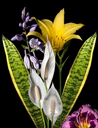 Free flower bouquet image, public domain nature CC0 photo.