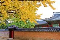 Free Korean architecture image, public domain architecture CC0 photo.