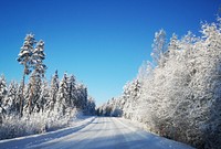 Free snow covered road between trees image, public domain nature CC0 photo.