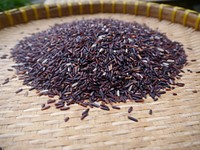 Free black rice image, public domain food CC0 photo.