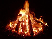 Free fire on burning wood image, public domain CC0 photo.