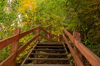 Free stair in forest photo, public domain nature CC0 image.