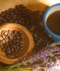 Free coffee beans photo, public domain drink CC0 image.