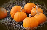 Free Halloween autumn pumpkin, squash photo, public domain vegetable CC0 image.
