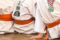 Tenshinkan, Squad-Team, Shihan Champion, South Africa Champion, embroidery logo karate uniform, location unknown, 21 January 2017. View public domain image source here