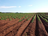 Free agricultural land image, public domain farming CC0 photo.