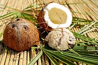 Free fresh open coconut image, public domain fruit CC0 photo.