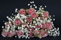 Free rose bouquet image, public domain nature CC0 photo.