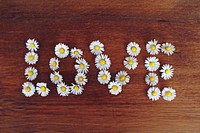 Free LOVE letters, daisy image, public domain flower CC0 photo.