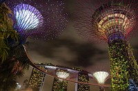 Free Singapore City at night photo, public domain travel CC0 image.