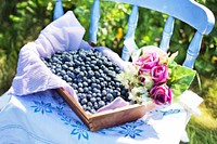 Free blueberries image, public domain fruit CC0 photo.