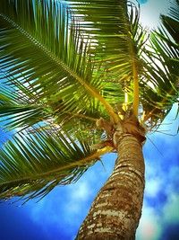 Tropical beach, relaxing, summer scenery photo, free public domain CC0 image.