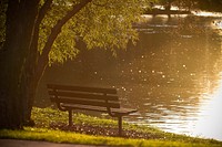 Free bench in the park image, public domain seasons CC0 photo.