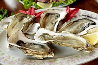 Free fresh oysters image, public domain food CC0 photo.