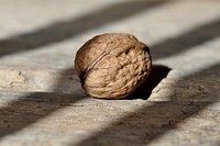 Free close up nut seed image, public domain vegetable CC0 photo.