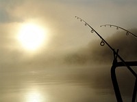 Fishing rods, free public domain CC0 photo