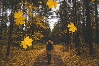 Free autumn fall trail with orange leaves photo, public domain nature CC0 image.