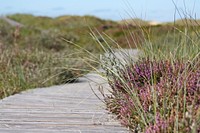 Free concrete pathway to beach,  photo, public domain nature CC0 image.