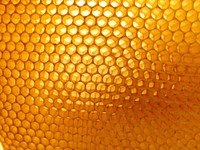Honey comb, free public domain CC0 photo