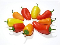 Free hot chili peppers, white background photo, public domain vegetable CC0 image.