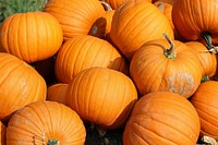 Free pumpkins image, public domain food CC0 photo.