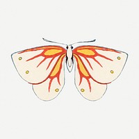 Japanese art butterfly, hand drawn, vintage illustration