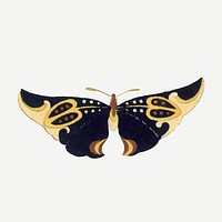 Japanese art butterfly, vintage drawing illustration