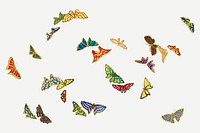 Colorful butterfly, Japanese drawing, vintage illustration vector