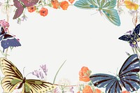 Butterfly frame background, colorful nature, vintage illustration