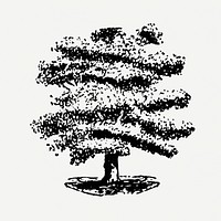 Hand drawn oak tree sticker, vintage illustration psd, digitally enhanced from our own original copy of The Open Door to Independence (1915) by Thomas E. Hill.
