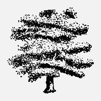 Oak tree sticker, hand drawing vector, digitally enhanced from our own original copy of The Open Door to Independence (1915) by Thomas E. Hill.