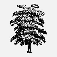 Vintage tree sticker, hand drawn illustration vector, digitally enhanced from our own original copy of The Open Door to Independence (1915) by Thomas E. Hill.