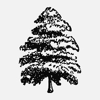 Hand drawn oak tree clipart, hand drawn illustration vector, digitally enhanced from our own original copy of The Open Door to Independence (1915) by Thomas E. Hill.